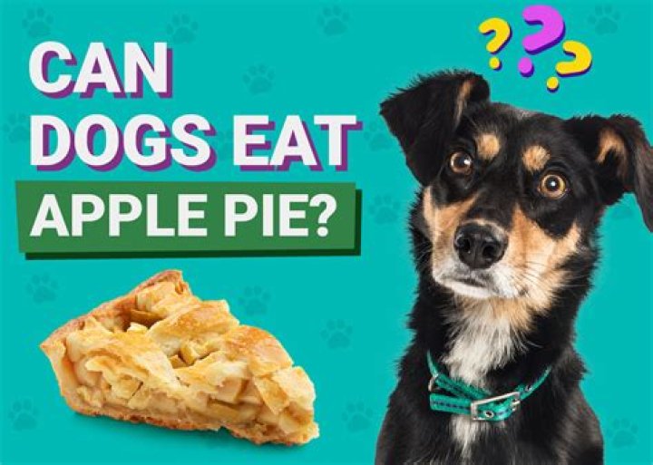 Can Dogs Eat Apple Pie