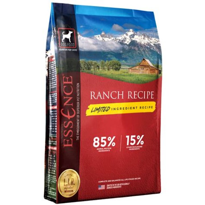 Can Dogs Have Ranch