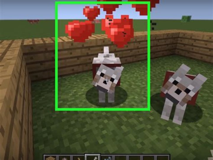 How To Feed Dogs In Minecraft On Ipad