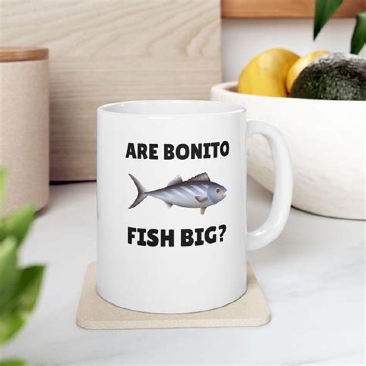 Question: Are Bonita Fish Big Quote