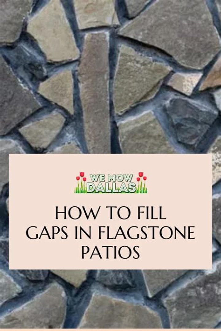 Question: How To Fill Large Gaps In Flagstone Patio