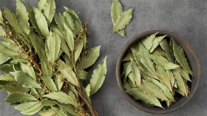 Quick Answer: Can Dogs Have Bay Leaves