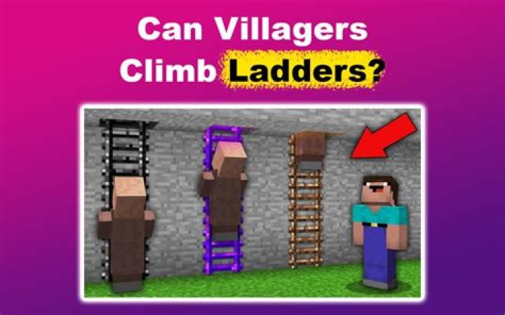 Quick Answer: Can Traveler Villagers Use Ladder