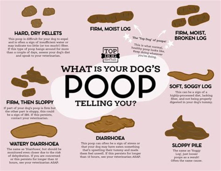 Quick Answer: Will Lime Break Down Dog Poop
