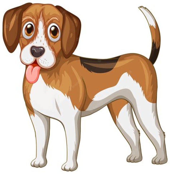 What Is A Dog Clip Used For On A Lorry