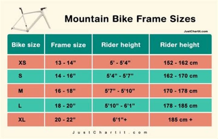 What Size Is A 62Cm Mountain Bike Frame